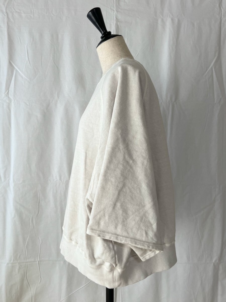 画像6: Veritecoeur/ヴェリテクール　 Pigment dye スウェットプルオーバー (6)