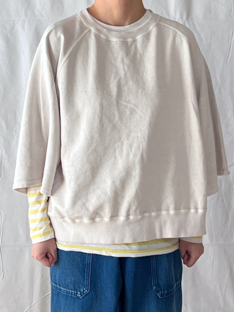 画像1: Veritecoeur/ヴェリテクール　 Pigment dye スウェットプルオーバー (1)