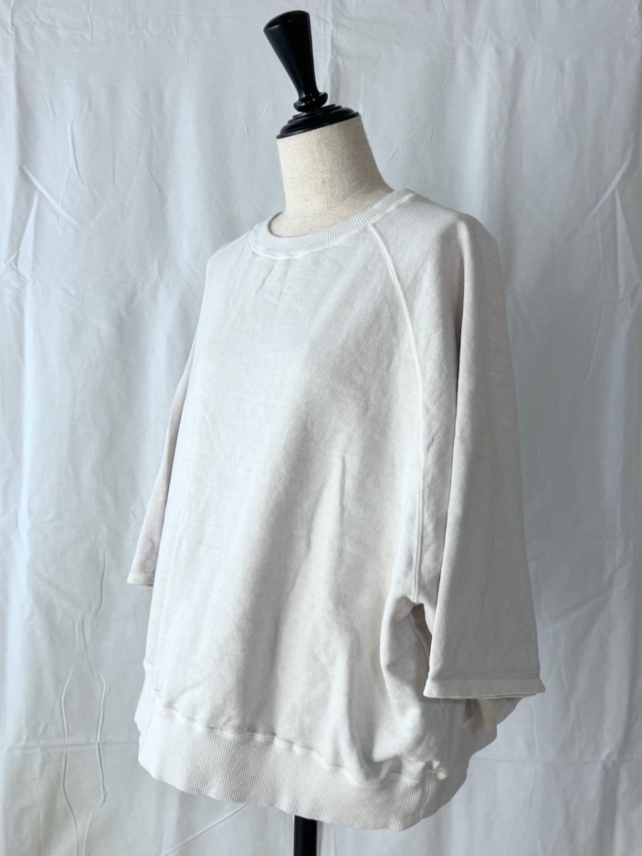 画像4: Veritecoeur/ヴェリテクール　 Pigment dye スウェットプルオーバー (4)